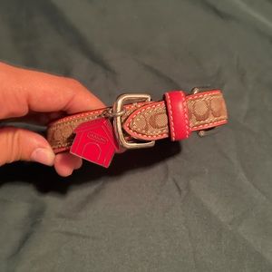 XS Genuine Coach Leather Dog Collar